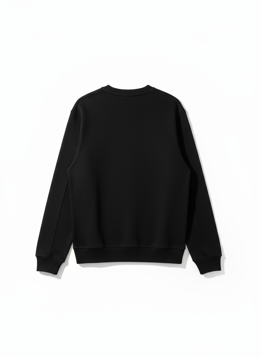 Aegis owl graphic sweatshirt