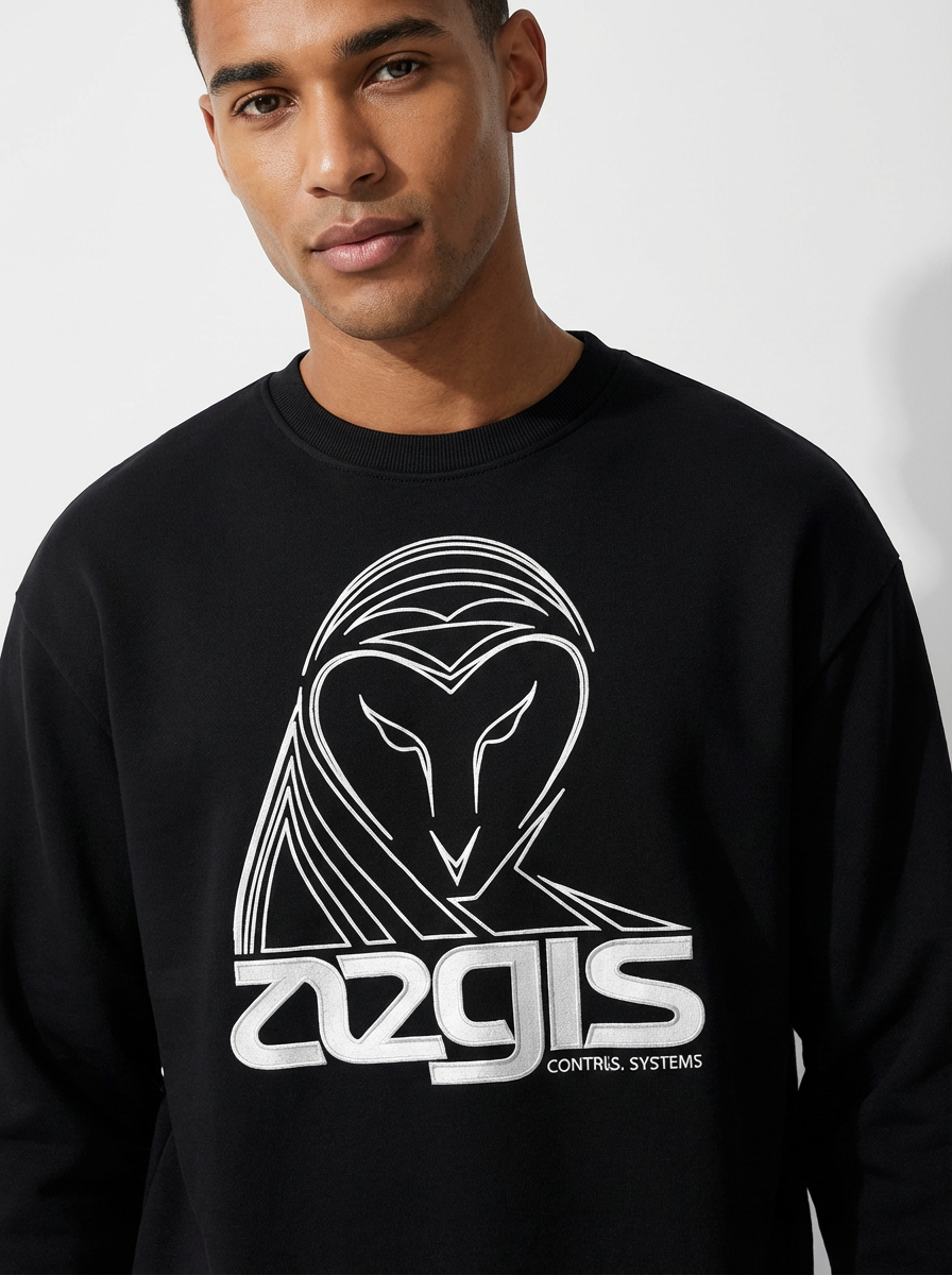 Aegis owl graphic sweatshirt